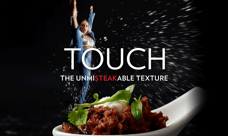 טקסטורה של בשר עם תחליף לצמחונים