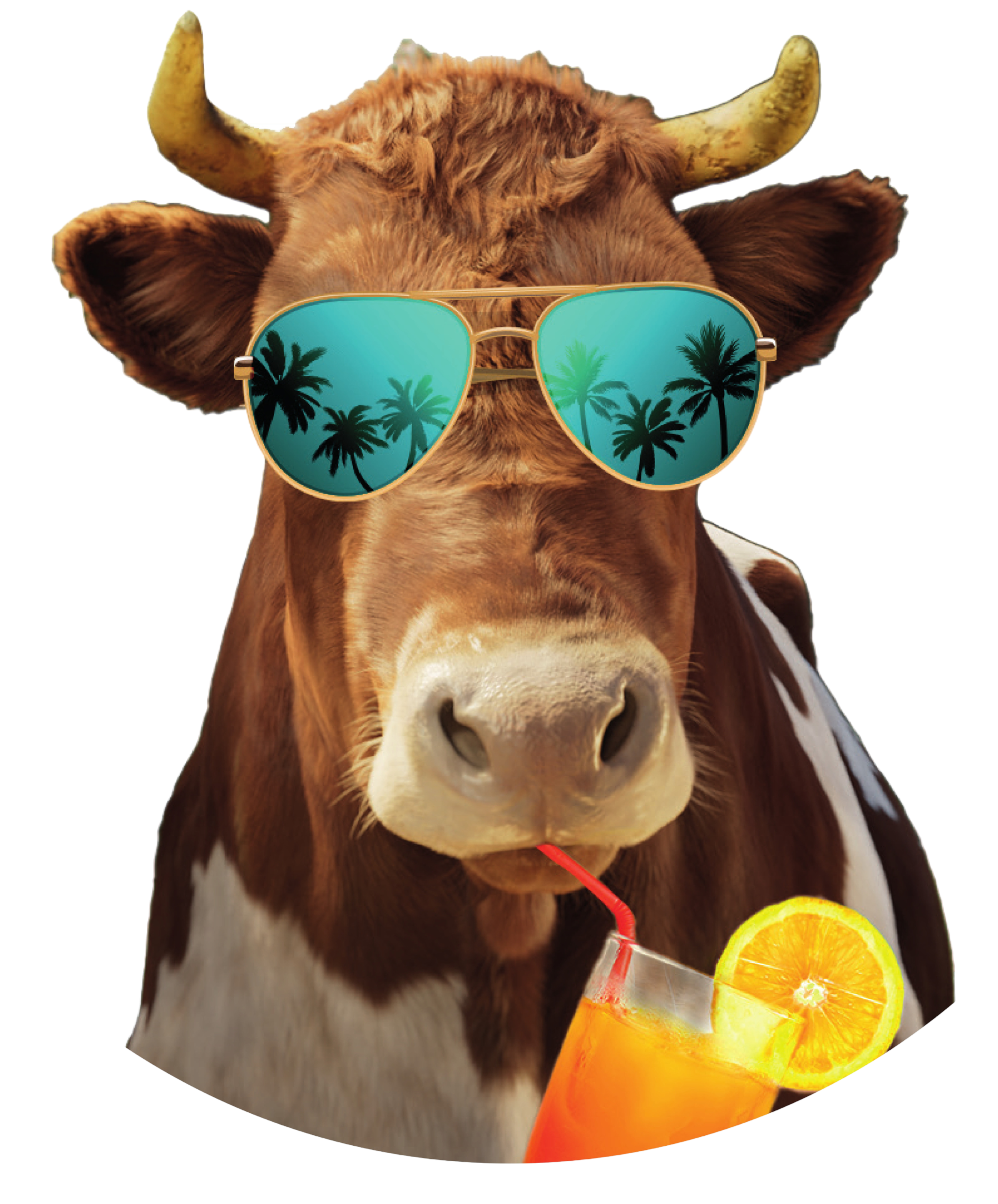 צוות רידיפיין מיט, כתבות וסקירות מעולם תחליפי הבשר