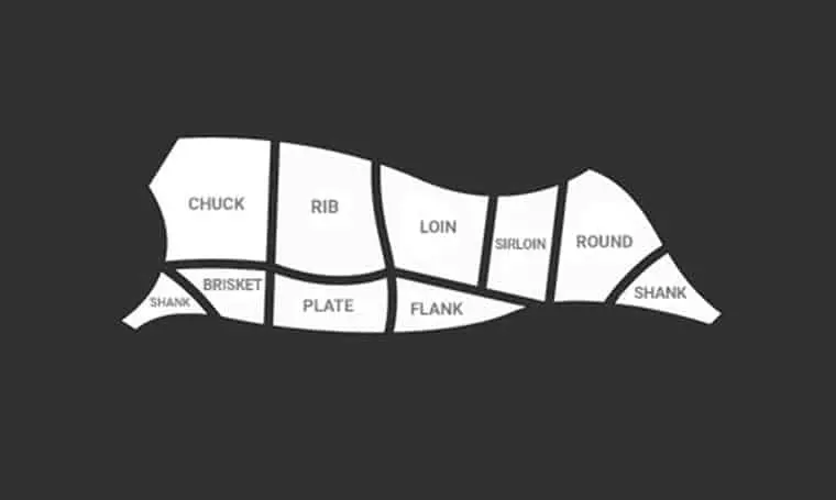 Rundvlees diagram: Primal en subprimal snijden begrijpen