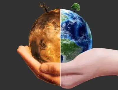 Waarom is vlees eten slecht voor het klimaat?