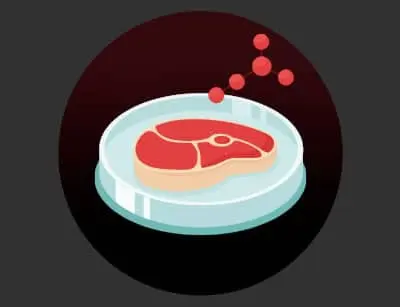 The Structure of Meat
