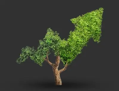 VEGAN STATISTICS – What is the Status?