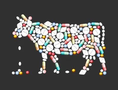 What Are Food Additives: A Food Engineer’s Guide