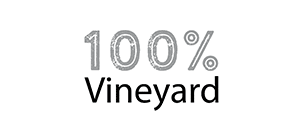 Vineyard Food & Drinks