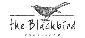 The Blackbird 